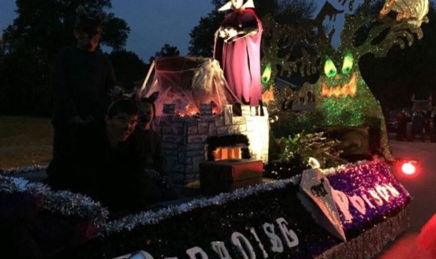 Pinckneyville Mardi Gras Vendor Fair 2026 in Pinckneyville, IL: Date, Hours, and What to Expect