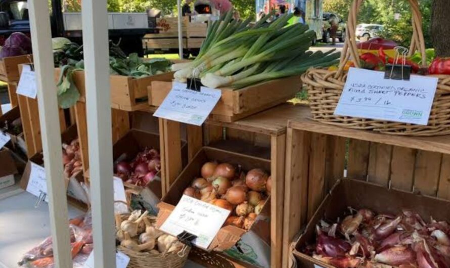 Wethersfield Autumn Farmers Market 2026 in Wethersfield, CT: Date, Venue, Highlights, and What to Expect
